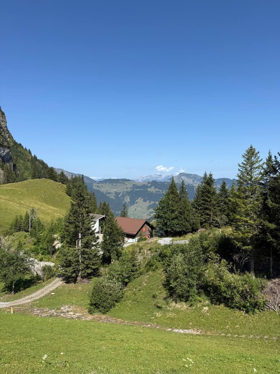 Lucerne