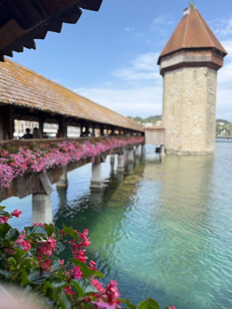Lucerne