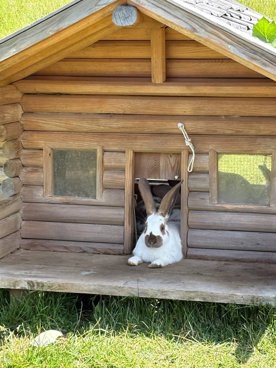 Lunch at the hut