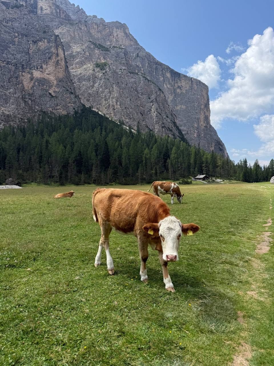 Dolomites