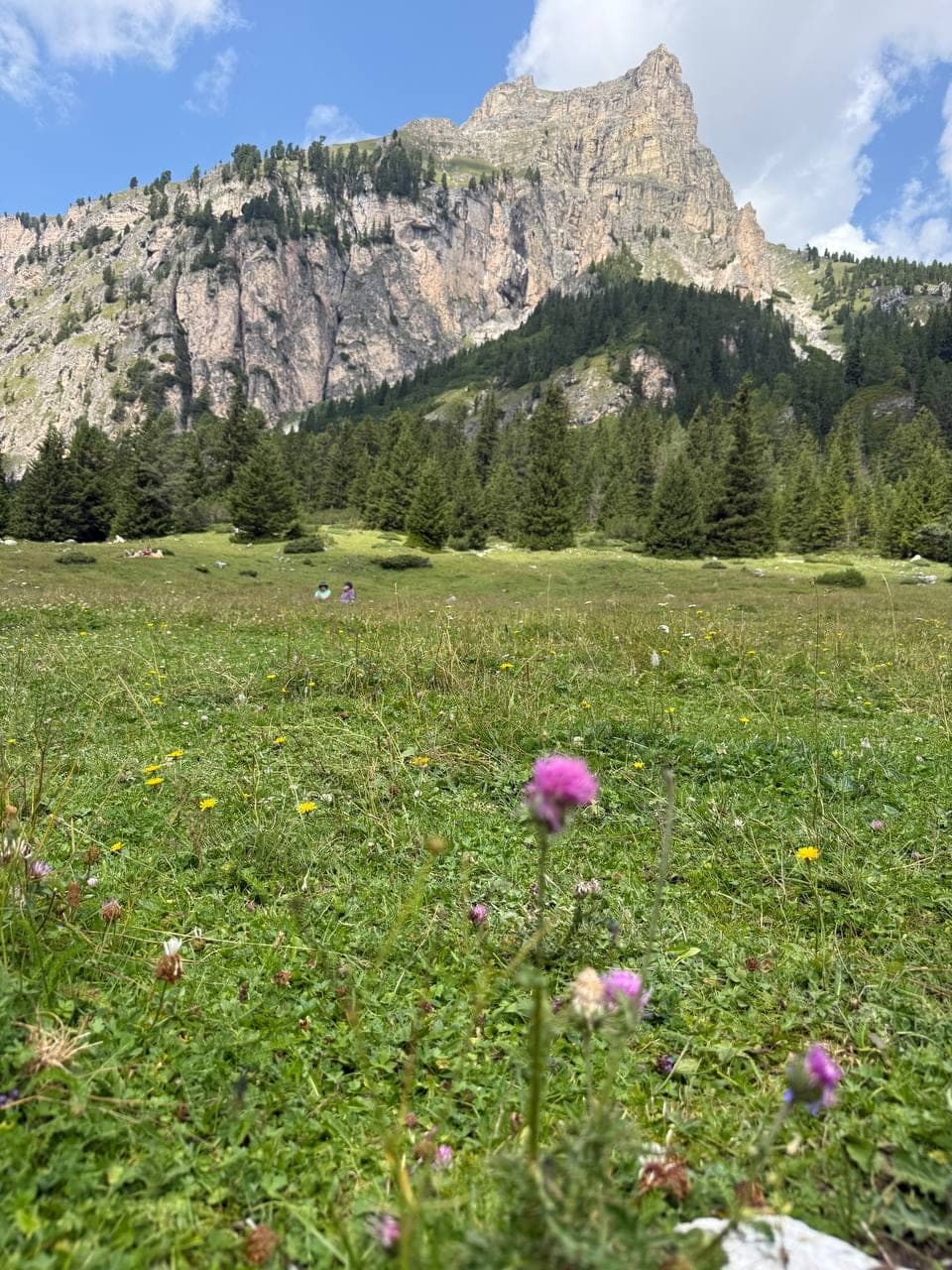 Dolomites