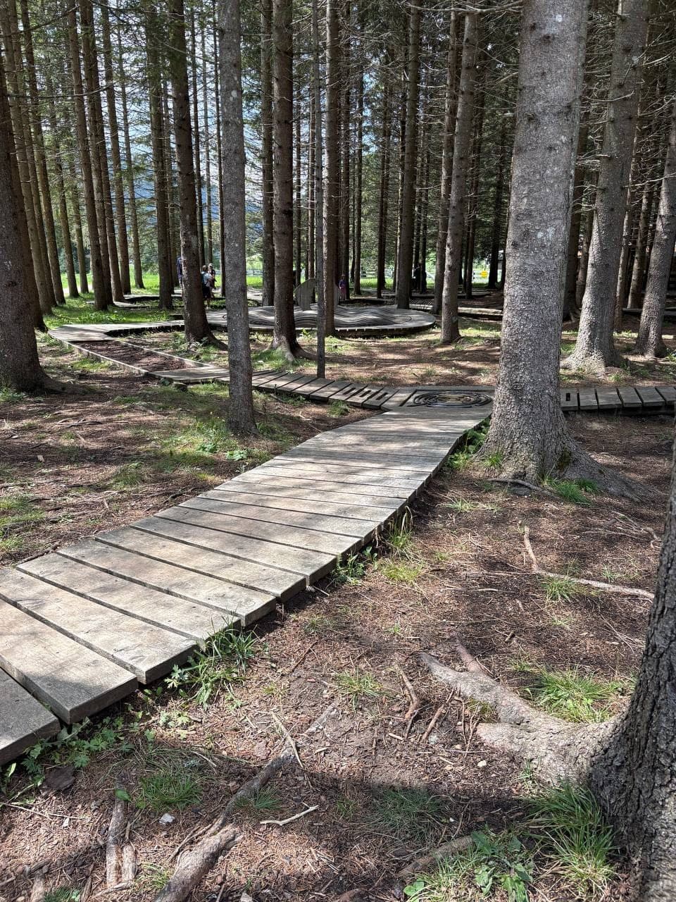 The barefoot trail