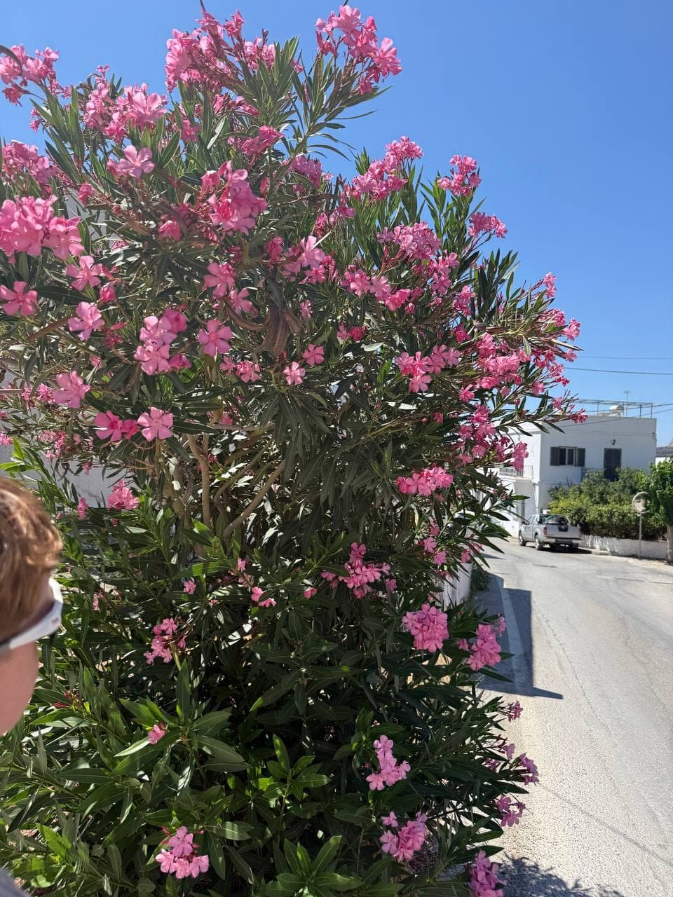 Naxos