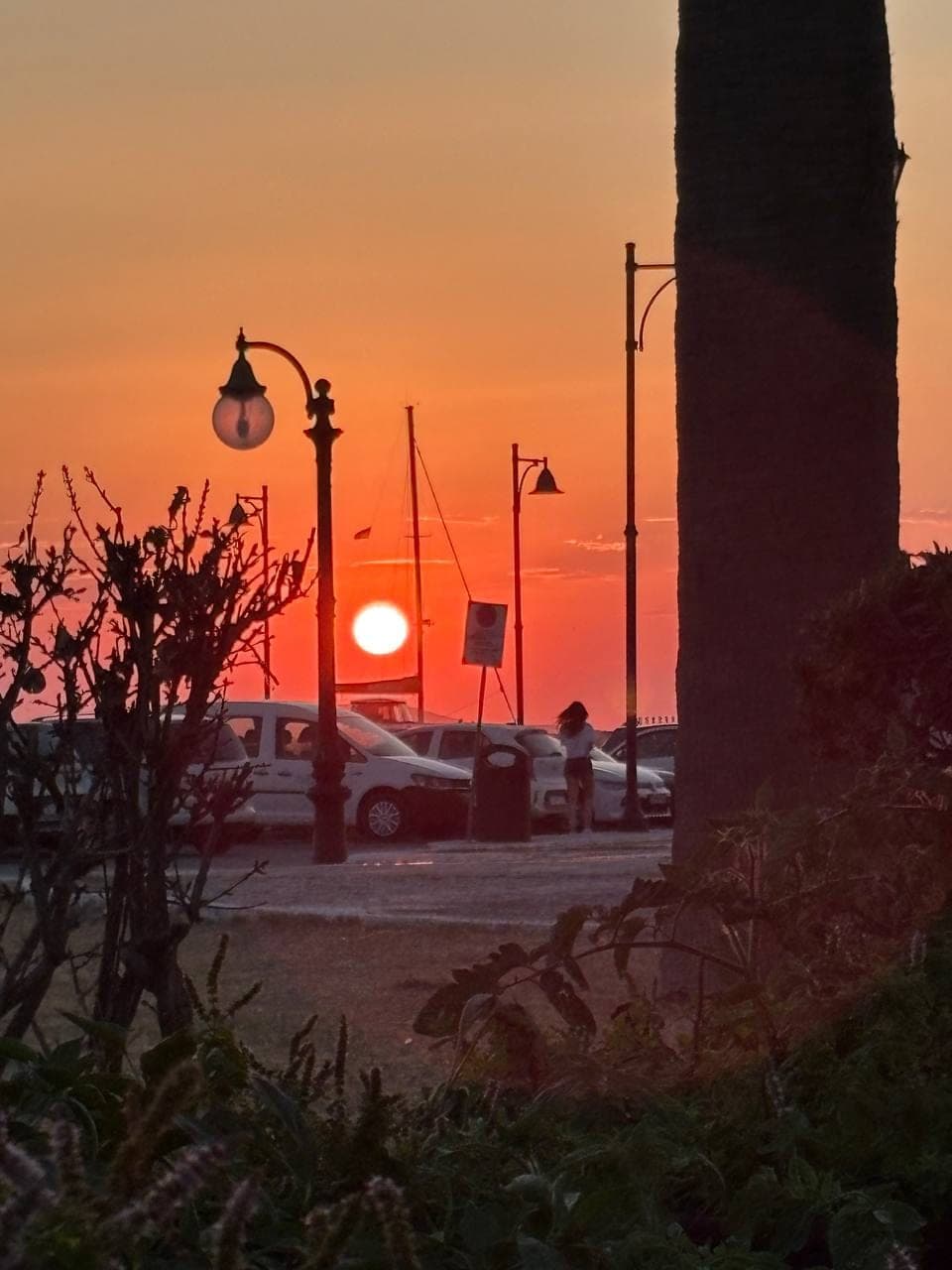 Dinner near the port